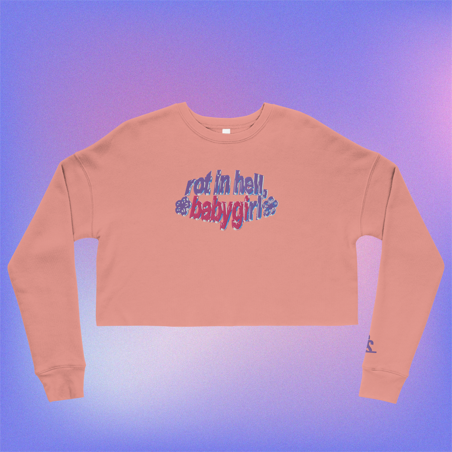 rot in hell, babygirl Embroidered Crop Sweater